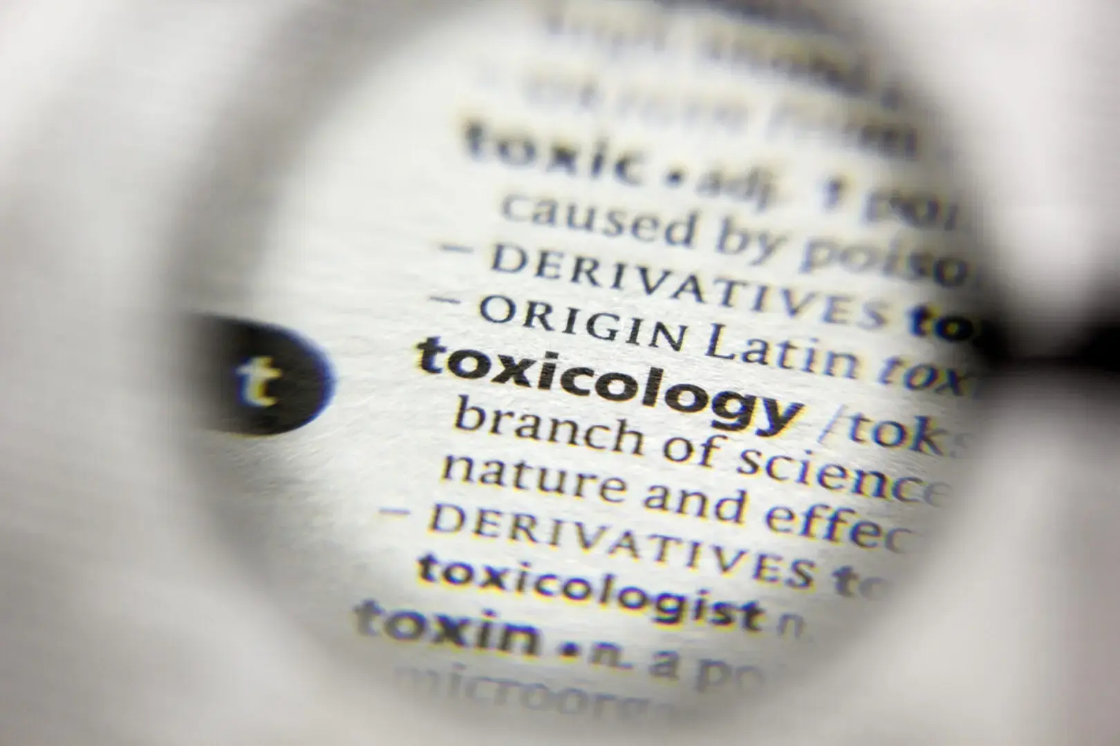 The Science of Safety: Understanding Toxicology in Biomedical Research image