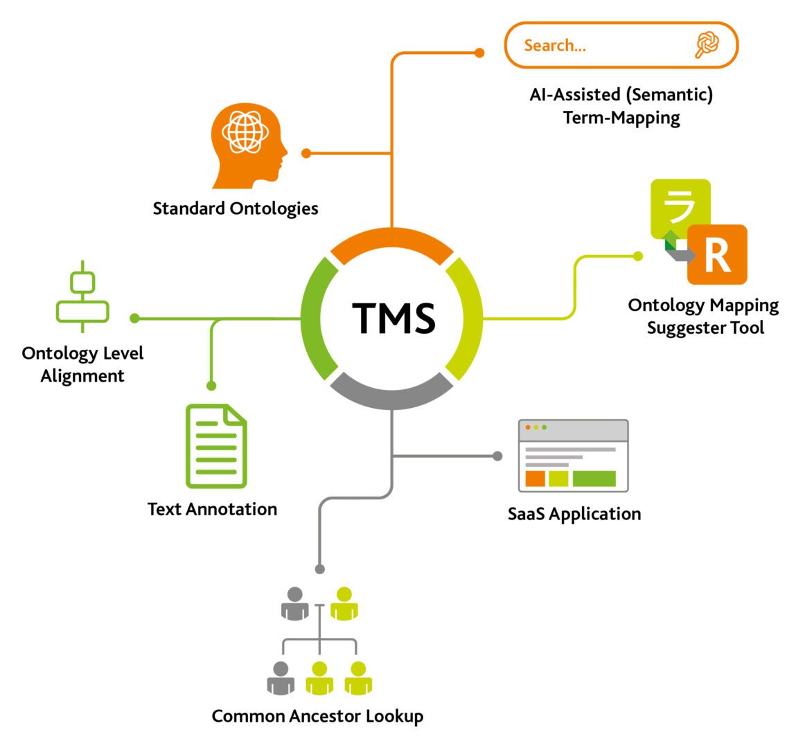 TMS diagram